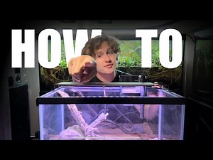 The Ultimate Aquarium Setup Guide: Part 1 The basics. How to start your first aquarium