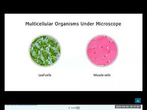 GED - Science -Cell Structures & Functions