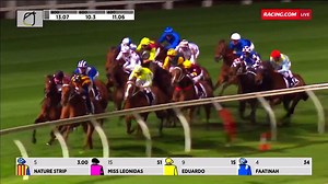 5.4K views · 29 comments | We love the speed machine, Nature Strip.  We also can't wait for night racing to return to The Valley this Friday night.  Who else is excited? ‍♂️‍♀️ | Racing.com | Facebook