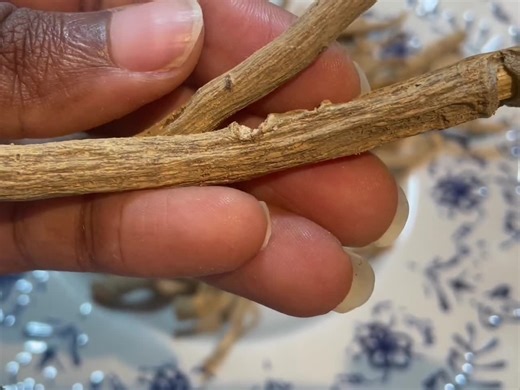 Organic Mondia Whitei Root Powder | African Ginger / White Ginger/ Tonic Root/ Mulondo | Wildcrafted, Pure, Naturally Air-dried Root - Etsy