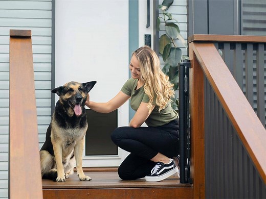 How To Choose The Right Pet Door - Bunnings Australia