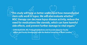 Mesenchymal Stromal Cell Research
