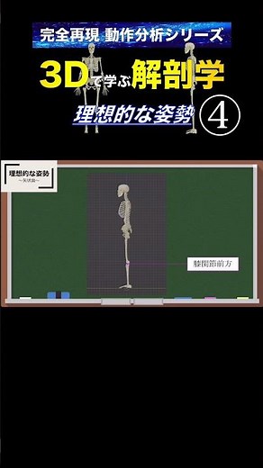 姿勢のランドマーク・矢状面 理想的な立位姿勢！姿勢評価を学ぶ第１歩【動作分析シリーズ】#姿勢評価 #健康寿命を延ばす #理学療法士国家試験