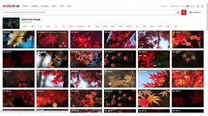 New feature alert! Shutterstock has launched Reverse Image Search for Video, a discovery feature powered by computer vision technology | https://shutr.bz/ReverseSearchVideo | Shutterstock