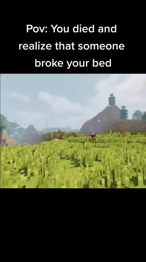 Credit: @_mnecraft Happens to me every time #minecraft #minecraftmemes #relateable #relate #dispicableme