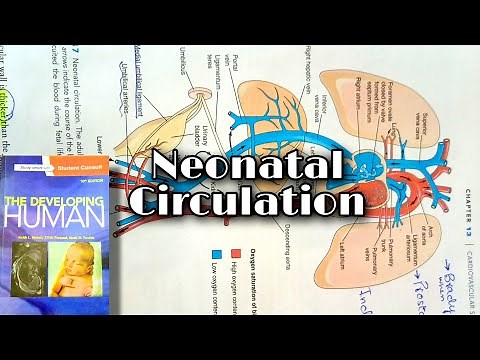 Changes in Fetal Circulation after birth| Complete and easy explanation
