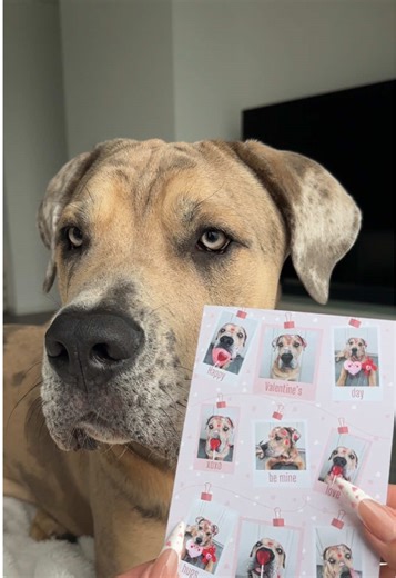 Create Adorable Paw Print Valentine’s Cards with Your Dog