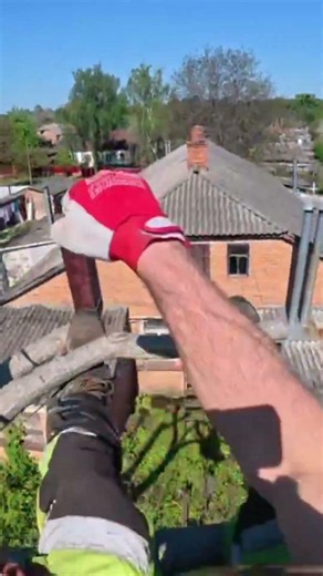 Arborist vs Tree #ProArboristExtreme#ChainsawWork#TreeCutting#RealWork#ExtremeWork