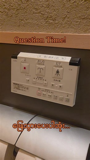 Japan Toilet Experience: Bidets and Tourist Insights