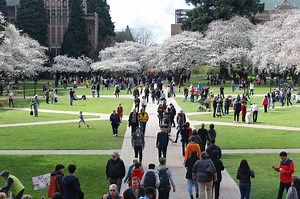 An insider's guide to surviving your freshman year at UW