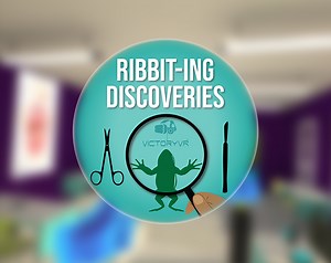 VR Frog Dissection: Ribbit-ing Discoveries by VictoryXR