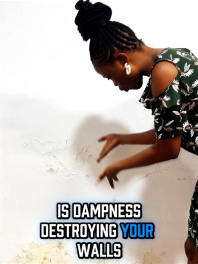 ENFLEKS Waterproofing: Damp Wall Solution and How to Apply