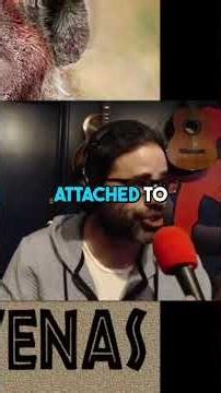 Huns' Brutal Tactics: Riding, Shooting, and Massacring Romans!