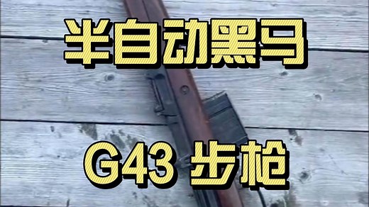 二战德军的 “半自动黑马”——G43 步枪