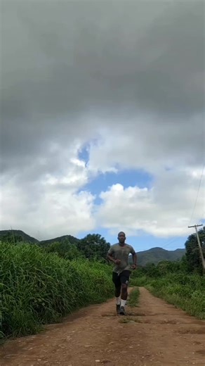 THE HISTORY OF MONGOOSES IN ANTIGUA 🇦🇬 #indianmongoose #mongoose #sugarcanplantation #sugarcane #antiguahistory #history #ziontvp #capturingmemoriesyoudontwanttoforget