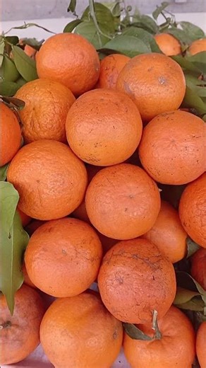 Orange: Refreshing and Cooling Effect. Oranges have a high water content, which helps cool the bo...