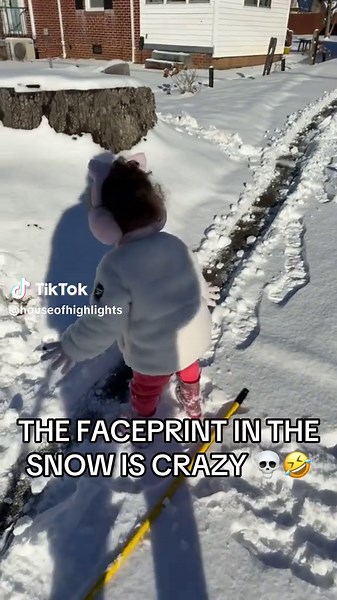 The Surprising Snow Faceprint You Won't Believe