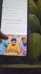 33K views · 154 reactions | Honest Review about Khan Brother Mango Farm ⚠️ | HoneyShop ہنی شاپ | Facebook