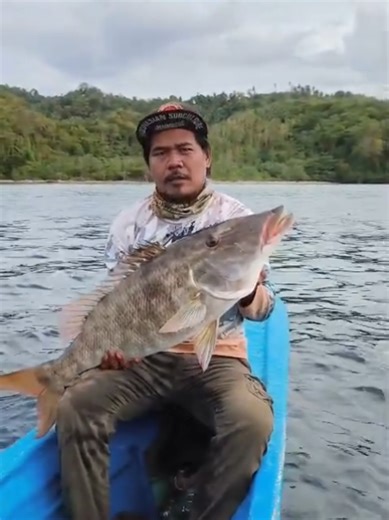 Lencam babi atau Lencam (Lethrinidae) adalah keluarga Ikan laut yang termasuk dalam famili Lethrinidae yang dikenal dalam Bahasa Inggris sebagai emperor. Ikan ini merupakan kelompok ikan target nelayan yang dimanfaatkan sebagai ikan konsumsi. Nama lain ikan ini di berbagai daerah di Indonesia adalah ikan asual, asuan, gotila, gopo, katambaq, ketamba, kutambak, matahari, ramin, dan sikuda. #sulawesiutara #fyp #mancing #lencambabi @tiktok_promote_id