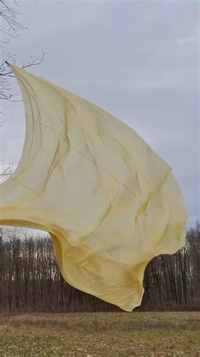 Silk blowing in the playful wind