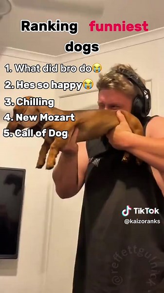 Ranking Dogs #ranking #rank #fyp #dogs