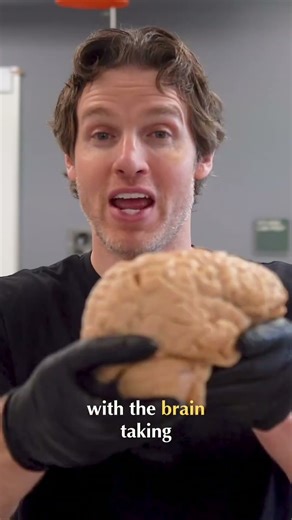 Mind-Blowing Facts: Your Brain Carries Its Weight! #shorts