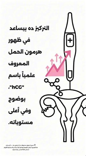 Why Use Morning Urine for a Home Pregnancy Test? The Precise Scientific Explanation