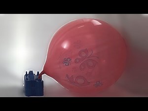 Pink punch balloon blow to POP (balloon BTP) #81