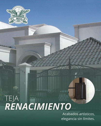 135 reactions · 13 shares |  ¿Buscas la teja ideal para tu proyecto?...