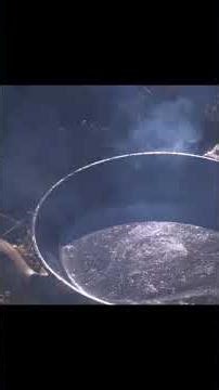 Wild Feast! 🐟 3-Day Off-Trail Solo Survival: Catch & Cook Spit Roast Trout 🌲🔥 #Shorts