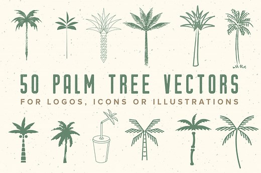50 Palm Tree Vector Logos & Icons, an Outline Icon by Tropical Type