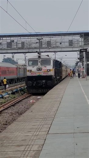 Train with glass roof and big 🚂windows #train #shorts