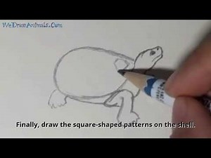 How to Draw a Turtle In 7 EASY Steps - GREAT for Kids & Beginners