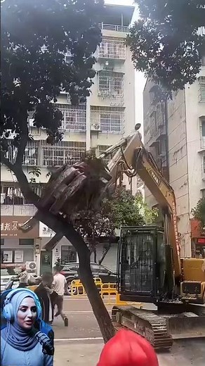 High-Tech Tree Logging #machine #treecutting #tree #satisfying