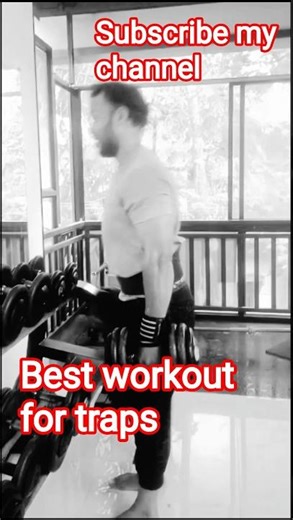 Build Bigger traps ! workout Routine!