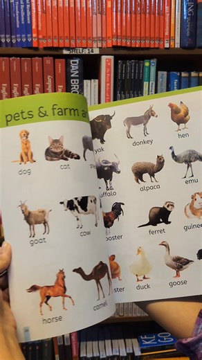 89 reactions · 11 shares | 70 Tk Off ‼️ My First 1000 Words  The...