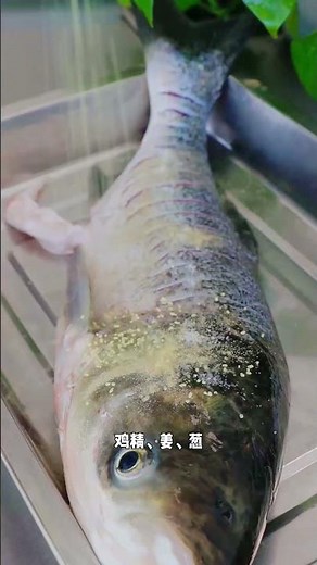 四川跳水鱼，简单一煮鲜香四溢！