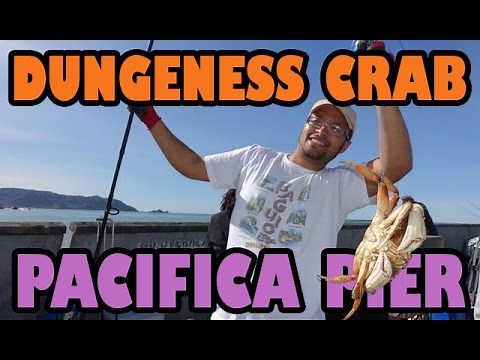 How to use Crab Snares | Crabbing With a Fishing Rod!