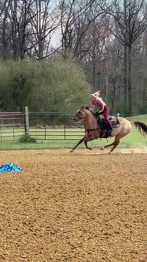 Ginger Duke on TikTok