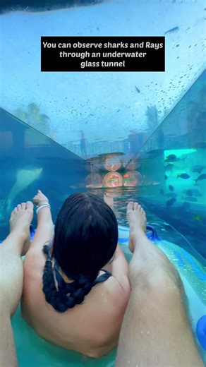 We got stuck a few times 😅 #dubai #underwater #atlantis #sharks | atlantis dubai waterpark