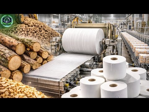 Factory Process Revealed: How Toilet Paper Is Made from Trees