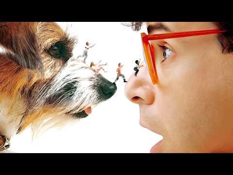 Honey, I Shrunk the Kids - DVD Menu (Upscaled HD) (1989)