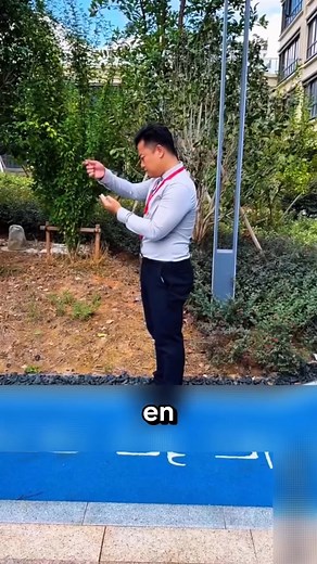 39K views · 2.1K reactions | El chofer que ocultaba su gran amor | Candace Fields | Facebook