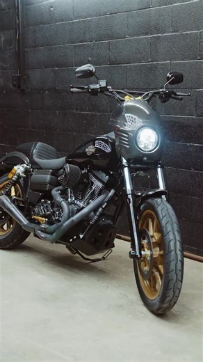 THE DYNA DUDE on Instagram: "2016 FXDLS $15,999. 1300 ORIGINAL MILES! Last of the DYNA, and its full of carbon.. Financing available. 110 SE” RSD 2 into 1 w/ carbon tip RSD Carbon air cleaner RSD Derby and clutch cover RSD Belt guard Carbon Shift linkage Italian Carbon Fenders Italian carbon side covers Carbon Ness style fairing Lyndall rotors front and rear Ohlins rear piggyback shocks Rebuilt front suspension SDC Fork brace Le pera kickflip seat Powerplant risers Biltwell bars Speed merchant s