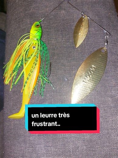 si quelqu'un a une réf d'hameçon chance pour spiner je suis preneurs #peche #brochet #pecheur #palette #spiner