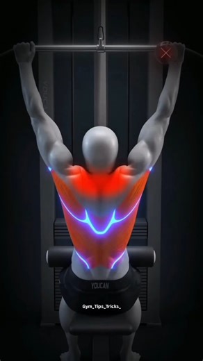 Gym Tips & Tricks on Instagram: "Lat Pull Down Correct Foam🔥📈⚡ . Tata Sierra 2026 Japan’s Emperor and Empress represent the world’s longest continuous monarchy, a symbol of cultural heritage and national identity. This video shows the evolution of Japan’s imperial couple “then and now”, highlighting: • timeless royal etiquette • traditional ceremony • elegant presence • their transformation across eras • continuity of the Chrysanthemum Throne Whether during state events, coronation-related cer