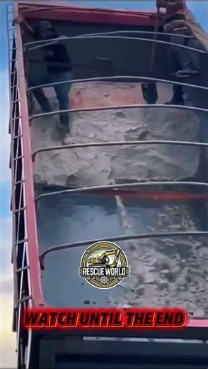 Worker Slips While Unloading Material #fails #news #shorts #fyp