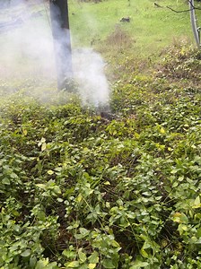 782K views · 9.3K reactions | CAL FIRE/Placer County Fire Department firefighters responded to a call of lines down at Bell Road and Hubbard. As seen in the video, the lines are energized, emitting sparks and even with recent rains, burning the vegetation. If you see down lines, call and report, but do not touch or attempt to cross. | CAL FIRE NEU | Facebook