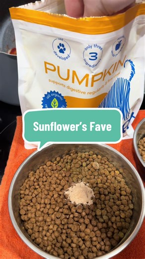 Puppy breakfast for the gremlin isn’t complete without her pumpkin! She won’t touch the food without it, so we got the giant bag 😜 Grab some for your pup below! #nativepet #nativepetpartner