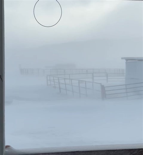 Snow today!! 40-50 mph gusts at the ranch…. Check comments for a cool photo of the snow drifting!! | Dust Devil Ranch Sanctuary for Horses